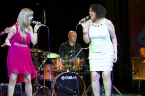 Limited Company Band  Band Hire Profile 1