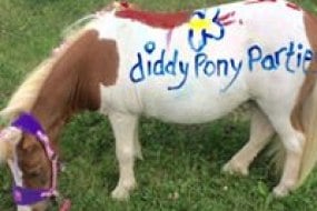 Diddy Pony Parties Children's Entertainers Profile 1