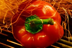 Bite Club Catering American Catering Profile 1