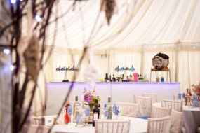 Bubbly Bars & Bartenders Bar Staff Profile 1