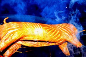 Grilliant Hog Roasts Profile 1