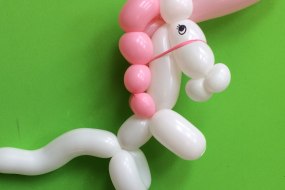 CraZy BeanZ Balloon Modellers Profile 1