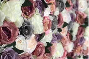 Amaize Flower Wall Hire Profile 1