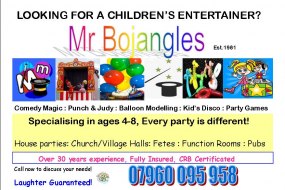 Mike Taylor Entertainment Children's Party Entertainers Profile 1