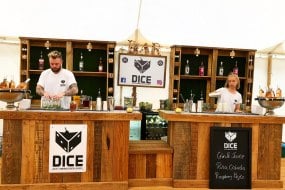 DICE Cocktail Events Mobile Gin Bar Hire Profile 1
