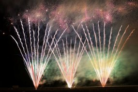 Roar Events Firework Suppliers Profile 1