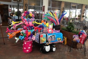 Natalie's World Entertainment Balloon Modellers Profile 1