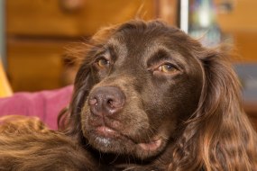 Andy Myers Photography Photographers Profile 1
