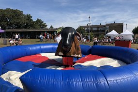 Aylesbury Rodeo Hire Rodeo Bull Hire Profile 1