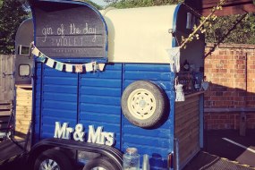 The Firsty Foal Bands and DJs Profile 1