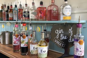 The Firsty Foal  Mobile Gin Bar Hire Profile 1