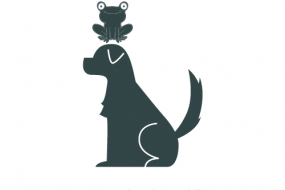 The Frog On The Dog Street Food Catering Profile 1