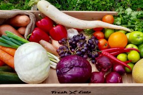 Fresh Eats Vegetarian and Vegan Catering Profile 1