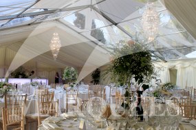 Clear PVC Cone with Ivory Linings and Furniture