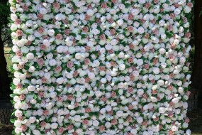Beautiful Dusky Rose Flower Wall