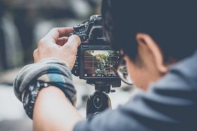 Lion Production and Installation Limited Wedding Photographers Profile 1
