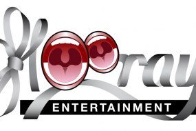 Hooray Entertainment Face Painter Hire Profile 1