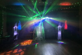 Taylor Made Events and Costumes Wedding Planner Hire Profile 1