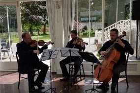 Fiddle-Stick Wedding Band Hire Profile 1