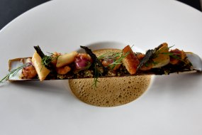Sea Urchin Veloute, sauteed razor clams, aromatic quinoa