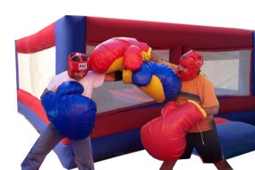 Mutleys Inflatables Bouncy Boxing Hire Profile 1