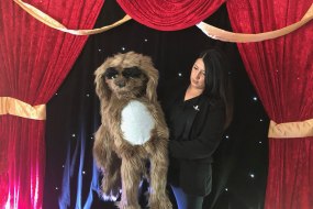 Occasions For All Children Children's Entertainers Profile 1