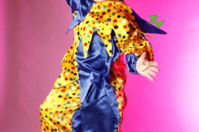 Magic Party Man Mobile Disco Hire Profile 1