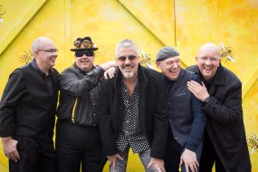 Mustard Bands and DJs Profile 1