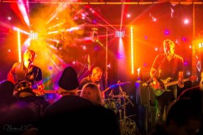 Go Commando Wedding Band Bands and DJs Profile 1