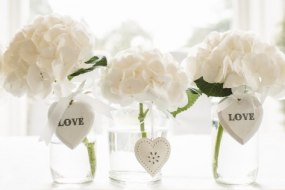 K.T. Weddings Wedding Celebrant Hire Profile 1