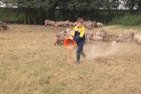 Bramblebee Farm Butchery & Catering Services Event Catering Profile 1
