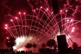 Illusion Fireworks Firework Suppliers Profile 1