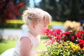 Bannon & McCabe Wedding Photographers Profile 1
