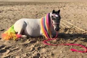 Magic The Rainbow Unicorn Children's Entertainers Profile 1