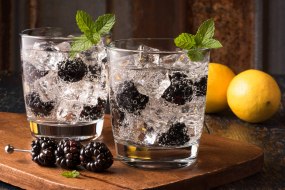Brambles Cocktail Bar Hire Profile 1