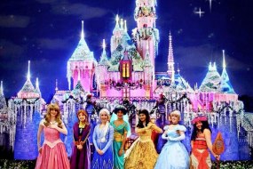Tutus & Tiaras Fun and Games Profile 1