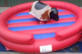 Bouncing Beans Inflatables Bungee Run Hire Profile 1
