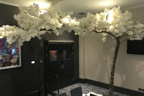 Funky Muppet Ballon Decoration Hire Profile 1