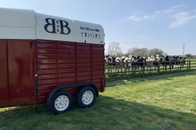 BBar Cocktail Bar Hire Profile 1