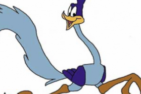 roadrunner mobile disco 60s Cover Bands Profile 1