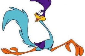 roadrunner mobile disco Bands and DJs Profile 1