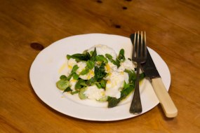 Asparagus & buffalo mozzarella for Spring