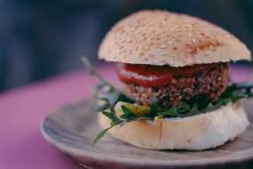 The Spotless Leopard Vegetarian and Vegan Catering Profile 1