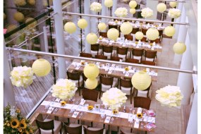 Drape Your Space Decorations Profile 1