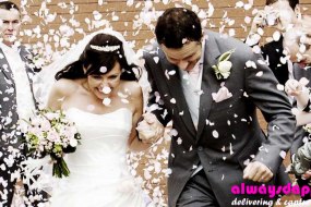 Always Dapper Wedding Photographers Profile 1