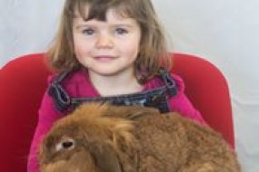 Lion Learners North Lincolnshire Children's Entertainers Profile 1