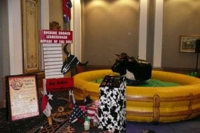 Rio Rodeo Bouncy Boxing Hire Profile 1