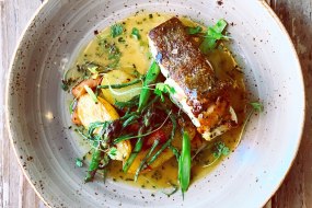 Gastronomy Street Food Catering Profile 1