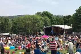 Elderflower Fields 2018