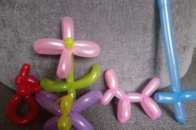 Not Just A Pretty Face Balloon Modellers Profile 1